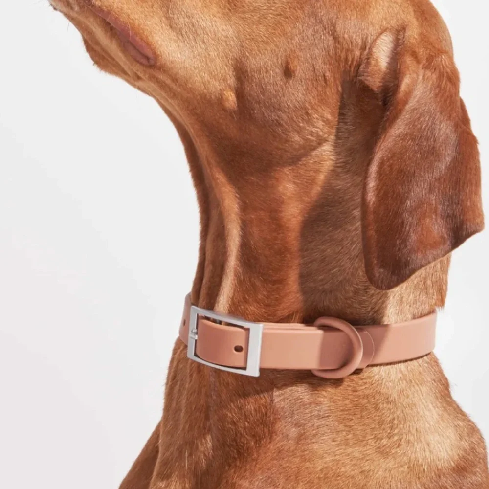 Wild One Dog Collar - XL (18-23